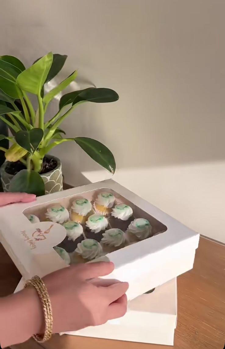 عرض بوب كيك 95 (بوكسين)