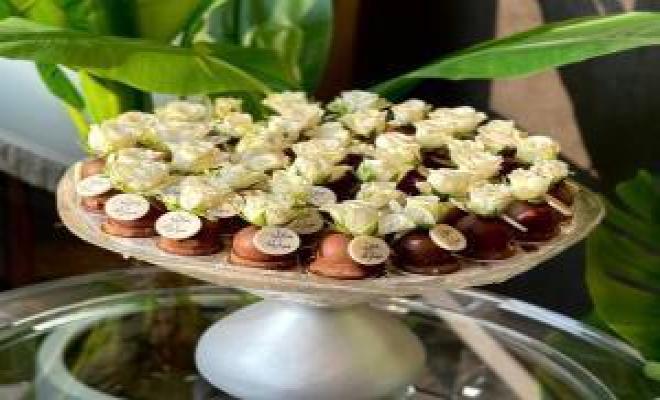 بوب كيك (مع لوقو)